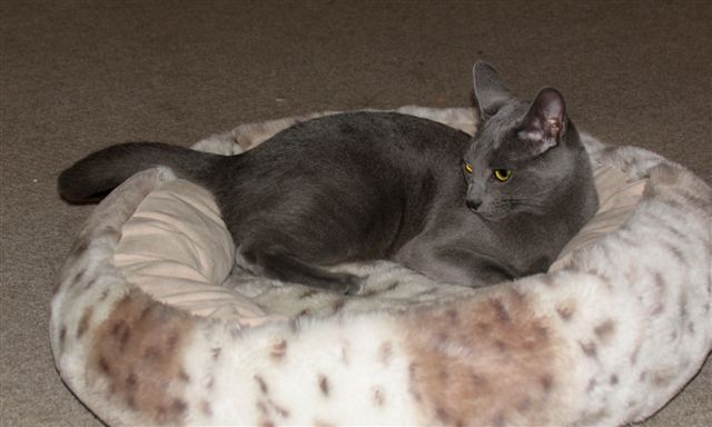 Phoebe am 09.12.2006